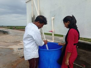 Chemical sterilisation of paddy straw