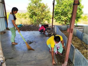 Cleaning the shed area (2)