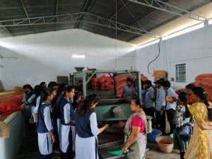 Groundnut seed processing unit (4)