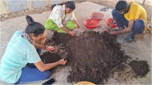 Harvesting the earthworms from previous pits