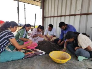 Harvesting the earthworms from previous pits2