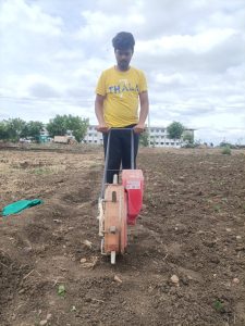 Maize sowing as border crop with Manual Seeder machine in soyabean field