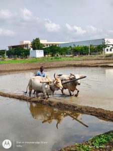 Puddling process (1)