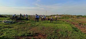 Removal of parthenium plants from fields (1)