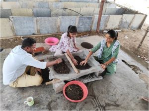 Sieving of vermicompost 1