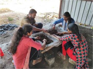 Sieving of vermicompost