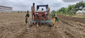 Sowing of green gram in farm (1)