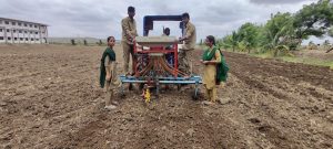 Sowing of green gram in farm (3)