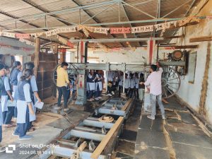 Visited Timber depo unit at tadipatri and nursery (forest species) at juturu (1)