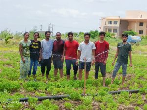 2019 BATCH SEED PRODUCTION ACTIVITY (2)