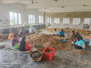 2019 BATCH SEED PRODUCTION ACTIVITY (4)