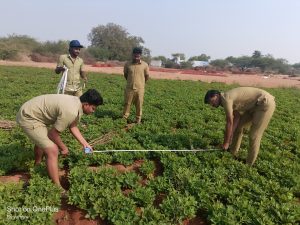 2019 BATCH SEED PRODUCTION ACTIVITY (5)