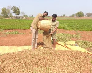 2019 BATCH SEED PRODUCTION ACTIVITY (7)