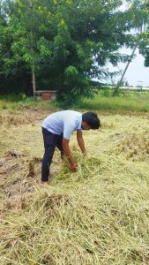 RAWEP 2020* BATCH Performing post harvest practices in the field (3)