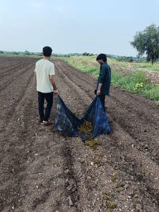 2021 ELP Organic(Cow dung application) (1)