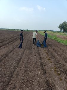 2021 ELP Organic(Cow dung application) (2)