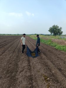 2021 ELP Organic(Cow dung application) (3)