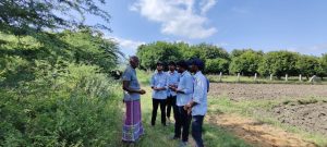 RAWEP 2020 Special batch Collecting information about transect walk and other techniques from the villagers & farmers (2)