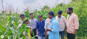 Visited Somanapalli village on 08102024 as a part of a Plant health diagnostic program under village adoption activity. (1)