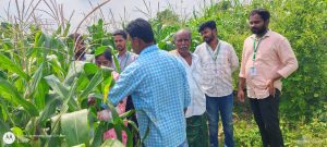 Visited Somanapalli village on 08102024 as a part of a Plant health diagnostic program under village adoption activity. (3)