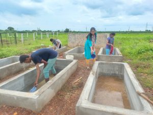 cleaning of azolla pits (2)