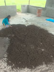 soil loosening and drying of vermicompost (3)