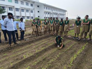 Students are taking biometric observations in the part of their course work Agro – 302 Practical crop production (2)