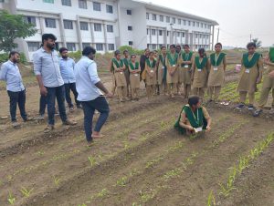 Students are taking biometric observations in the part of their course work Agro – 302 Practical crop production (3)