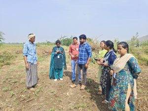 Vidited Somannapalli village crops covered Bengal gram,Tuberose (1)