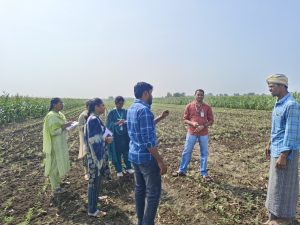 Vidited Somannapalli village crops covered Bengal gram,Tuberose (3)