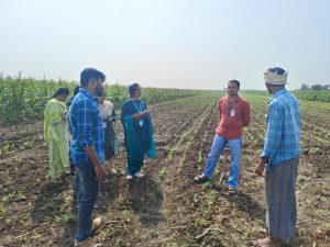 Vidited Somannapalli village crops covered Bengal gram,Tuberose (4)