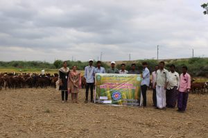 JCDRAC NSS Unit organized Animal Health Camp. (11)