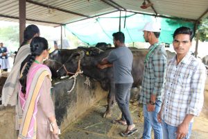 JCDRAC NSS Unit organized Animal Health Camp. (5)