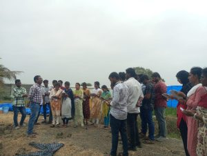 visit to RARS Nandyal, regarding the practical exposure visit to third year Agri students as part of course crop improvement. (1)