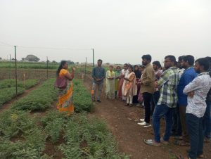 visit to RARS Nandyal, regarding the practical exposure visit to third year Agri students as part of course crop improvement. (4)